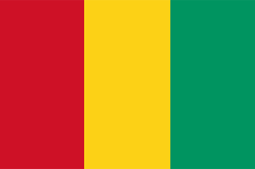 Flag_of_Guinea.png